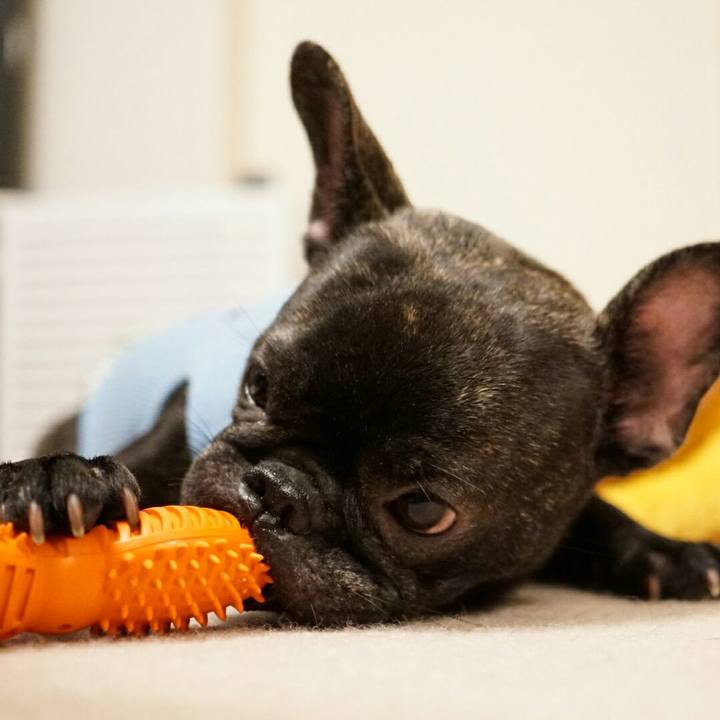 5d40ce45 7b6e 44b0 837a b266bba4c000