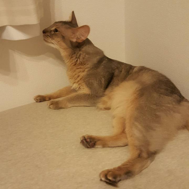 5d4147fe e5f6 4e1d 8cba e6d696ae1599