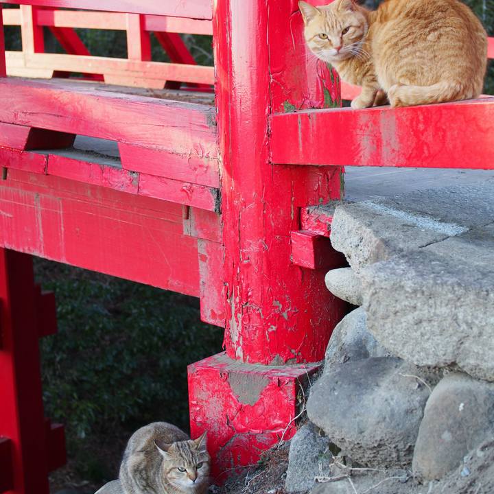 5d41c73c 7269 4030 9a20 29495707005f