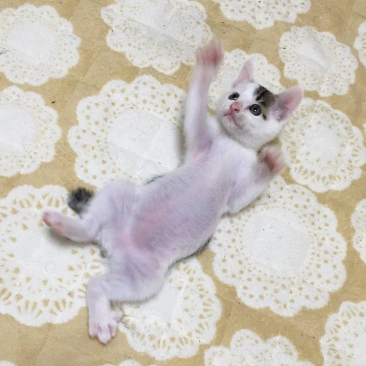 5d41fe65 a058 4a60 9bdb 3318a84fa5fe