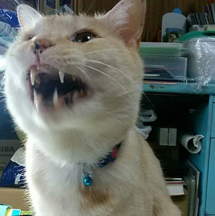 5d428073 101f 41fc a80a 13be3cca3edc