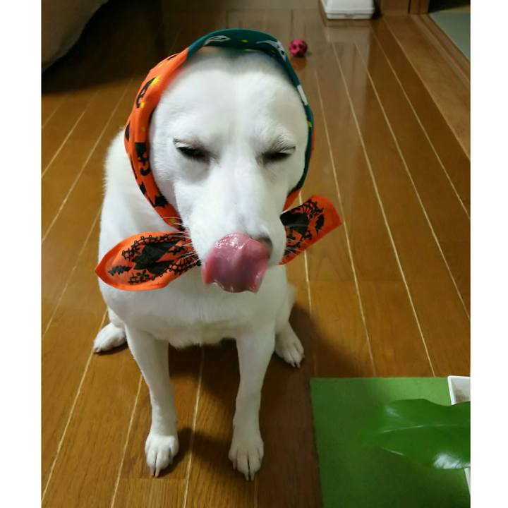 5d4300b4 6d5f 4846 ade8 f0e792b35676