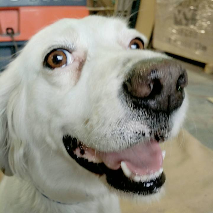 5d434b44 a37d 4f9f b028 29f766bbd99b