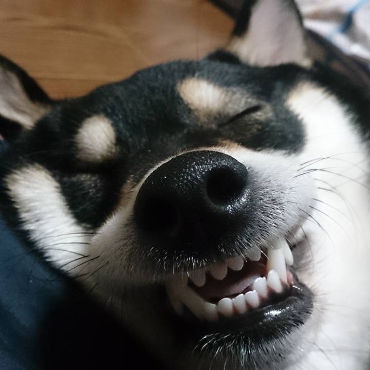 5d43bfb9 7867 4211 b94e af6248db94c3