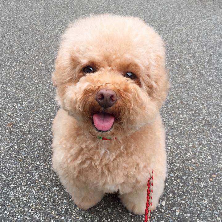 5d43cd76 cc47 407b be4b 1888080e4d27