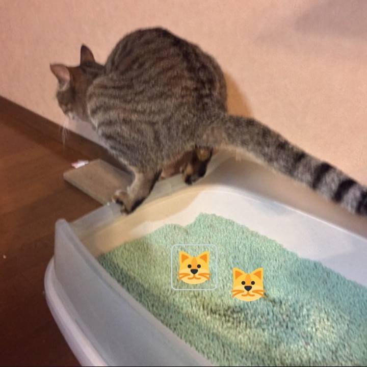 5d452ab2 14ff 4bbe 9be4 5f662460466b