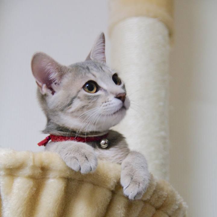 5d4587fb 2387 4159 9791 d1ffcba50ea5