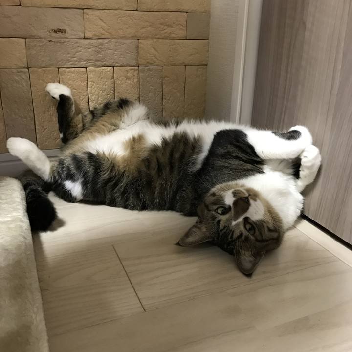 5d46e0d8 6a31 4537 83e0 d54f3e014567