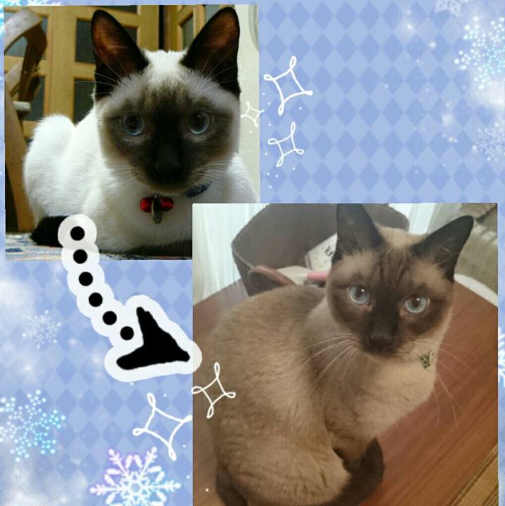 5d47b289 001f 4a14 88ee 8c01c91c1c7b