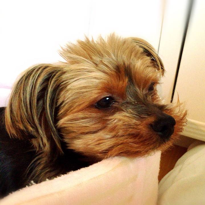 5d48e9b2 1b37 4258 930d fc14ade5929e