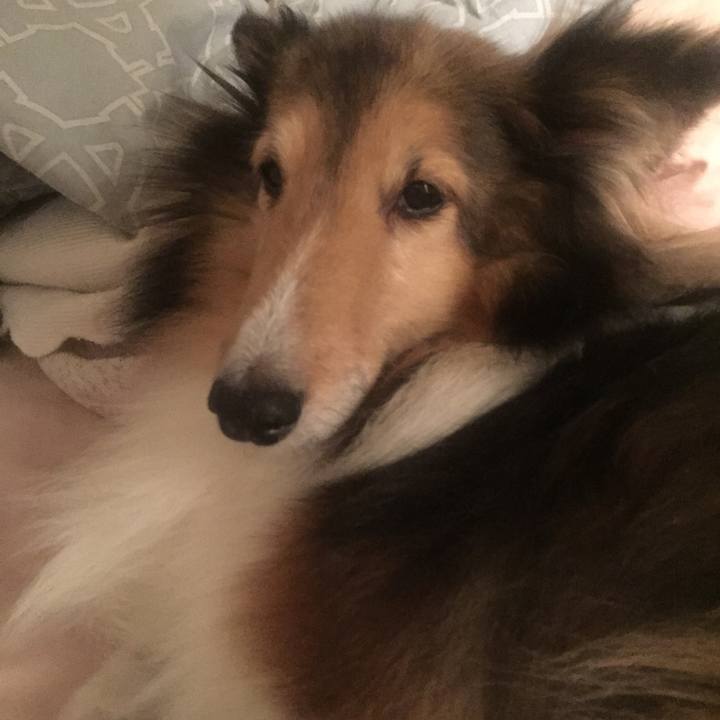 5d490761 d1b6 4f34 b085 39672651a031