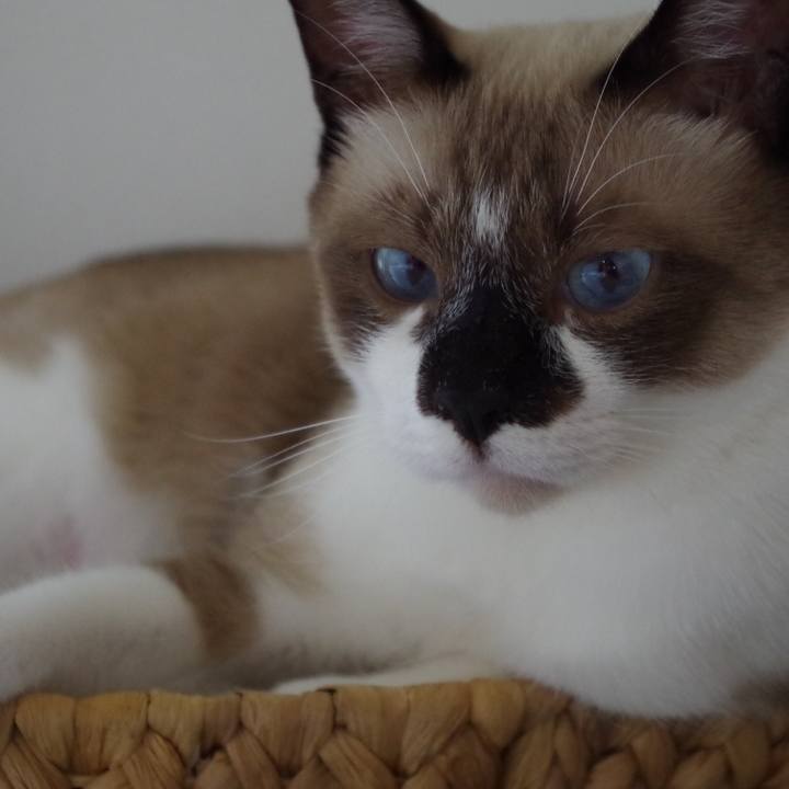 5d49214a 23cc 48ea a80c a85ecdff87d0