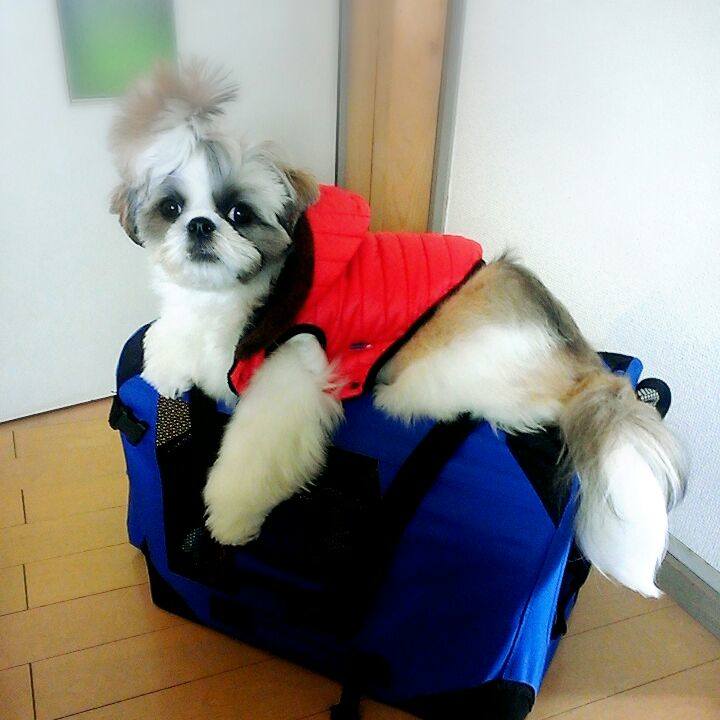 5d4a8926 6acc 4497 8643 2bcc762a1797