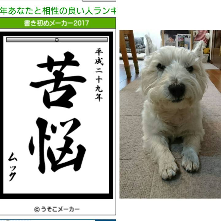 5d4ad429 7bd1 4119 b64d 0b54adf12b35