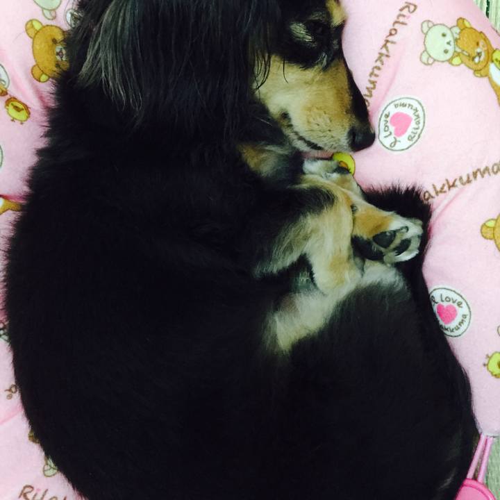 5d4b4357 65b5 42a3 bfd3 7f967b9f4f43