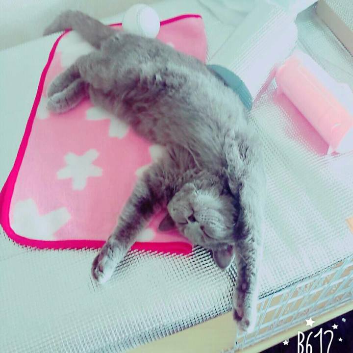 5d4bf9c0 e51d 48d4 857e 92ec5cf836ac