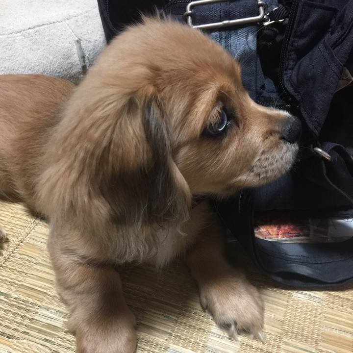 5d4c45b2 8bed 4e59 a233 e4783f806eb6