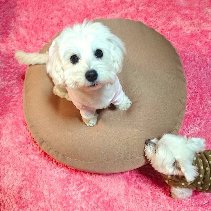 5d4c7709 4c54 4b2a 9f7e dbc01ad795a0