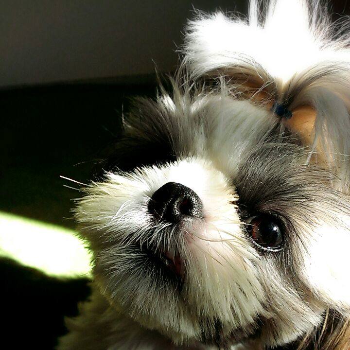 5d4c91a7 185c 4e7f 9ac5 814973833cd2