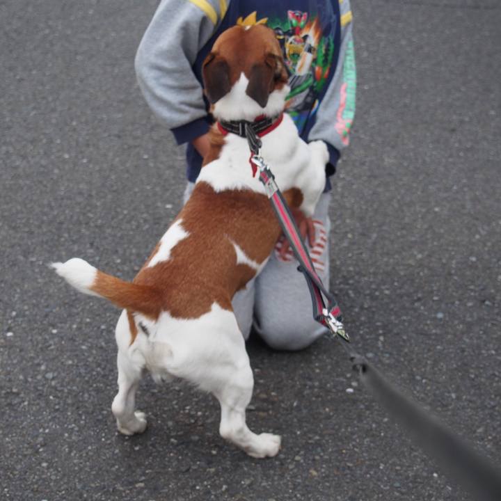 5d4ce217 8d51 4944 ab0f be29c99a84f3