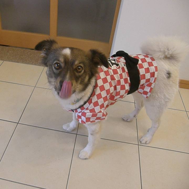 5d4d930a 276c 43ca bcd7 f422da40b37a