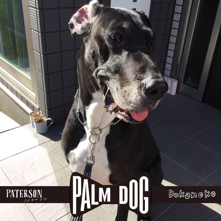 5d4da8b8 ab23 485b 8c24 452a83ad3d01