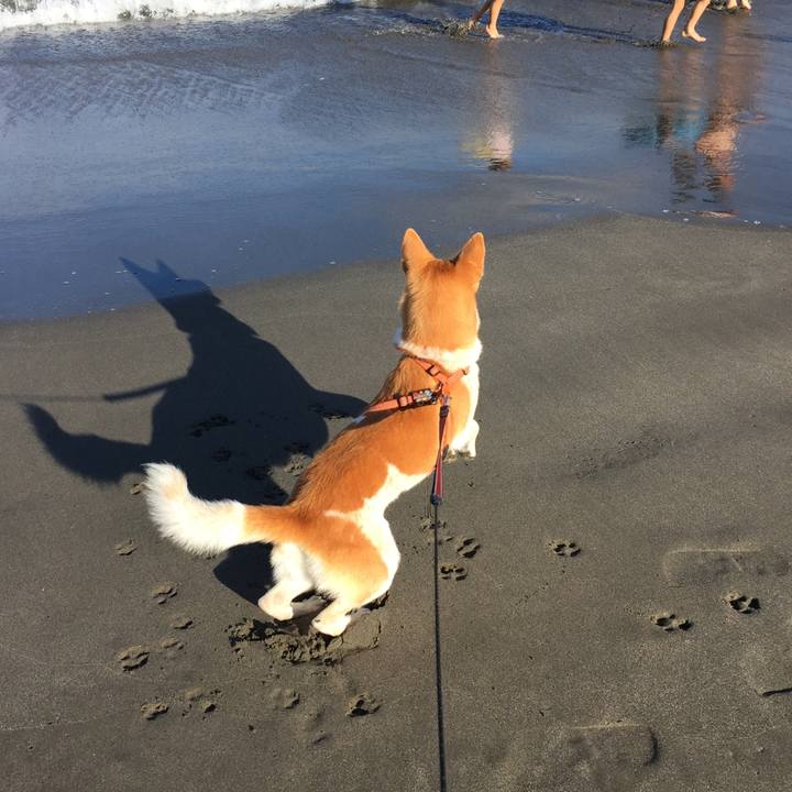 5d4dd237 e1e4 4aef bc13 2aa94a485afc