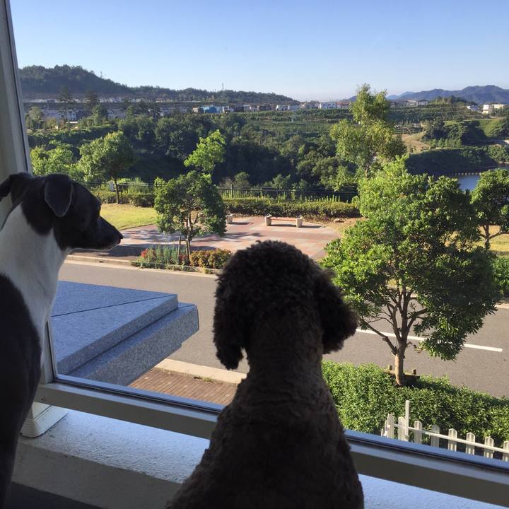 5d4e123b f60d 4dd0 af98 e5ccd3f5fb1c