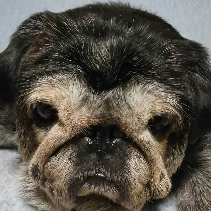 5d4e7750 010d 488f a50c 9dd141fbfec6