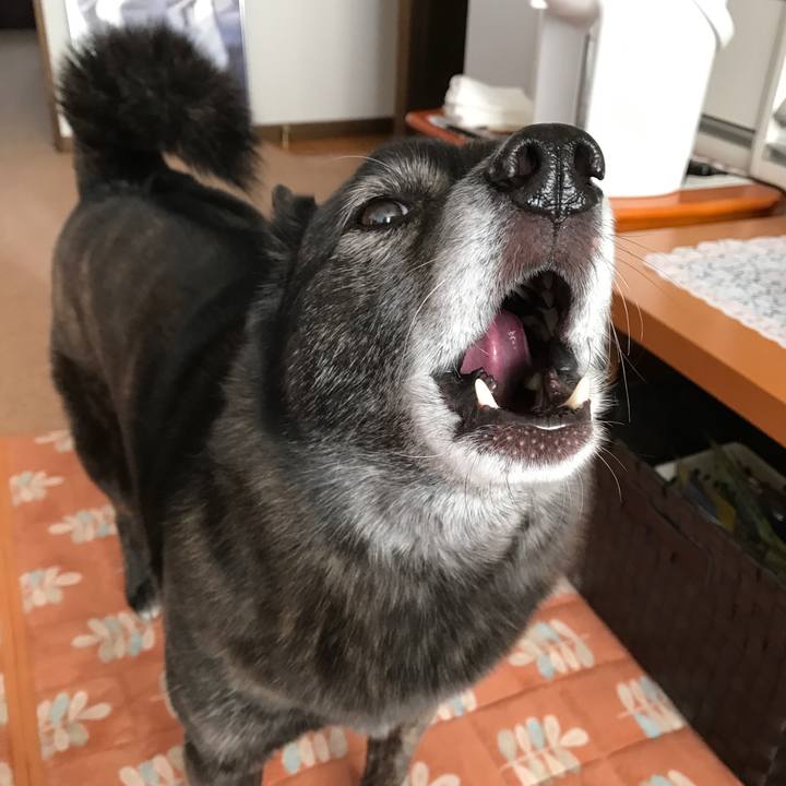 5d4e860b 191a 4a11 b55d d1fc4f09a0e7