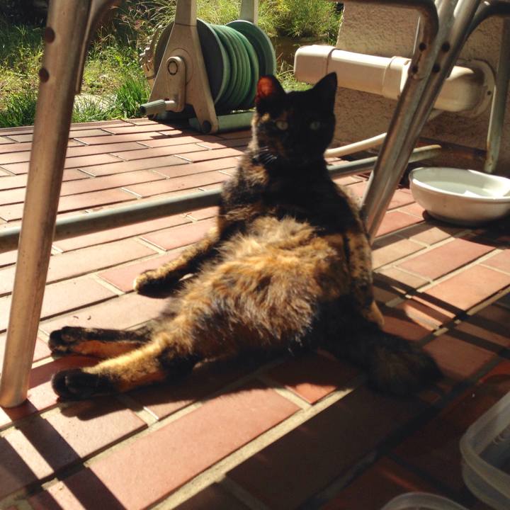 5d4ede57 d2f5 419d 80ec 30a2b9c457d8