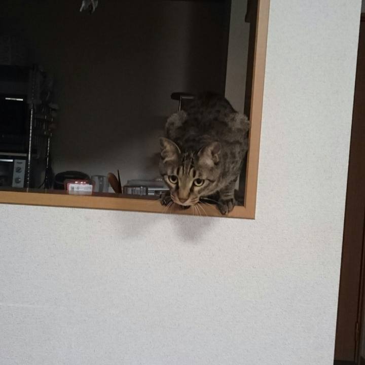 5d50c098 4912 4d9c b5d7 071e11b69347