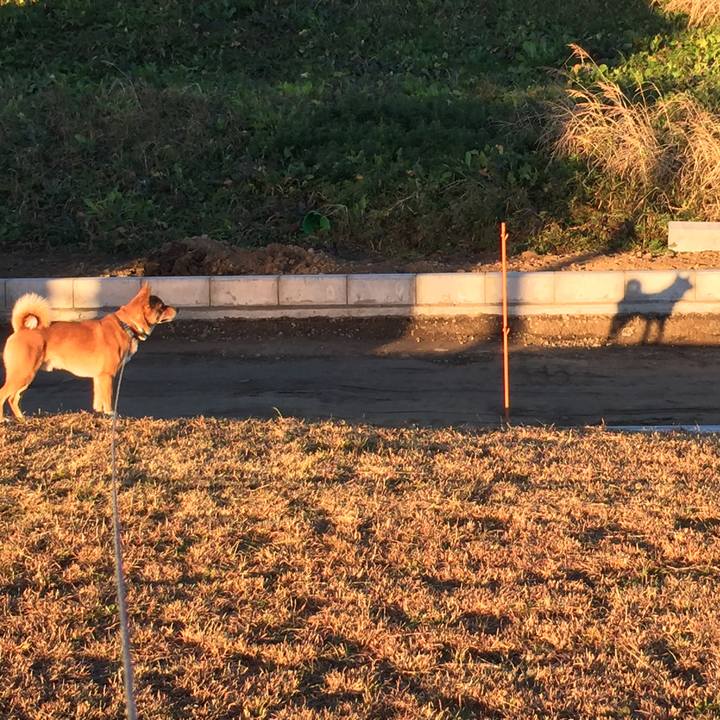 5d51c718 9add 4f73 a36f 150bd0b88fb0