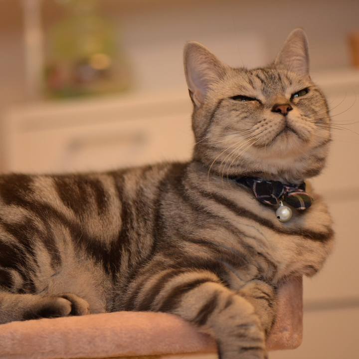 5d52040d 35eb 40fb b35a 992b325e8eaf