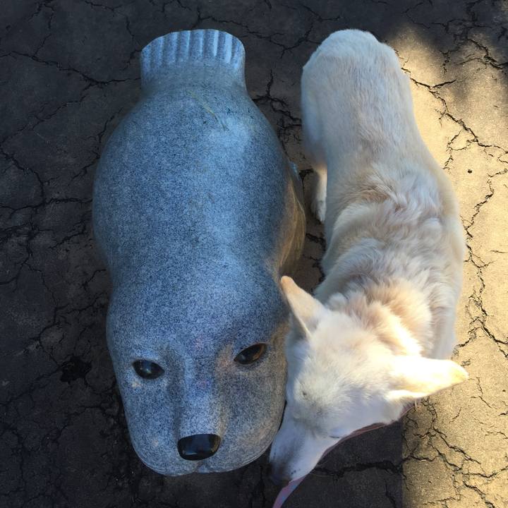 5d5237e7 544e 4ff4 b093 63a630ab771c