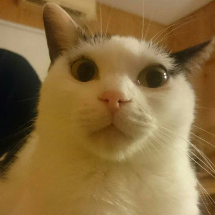 5d5260b0 8915 49de b5dc 9680cd0f3980