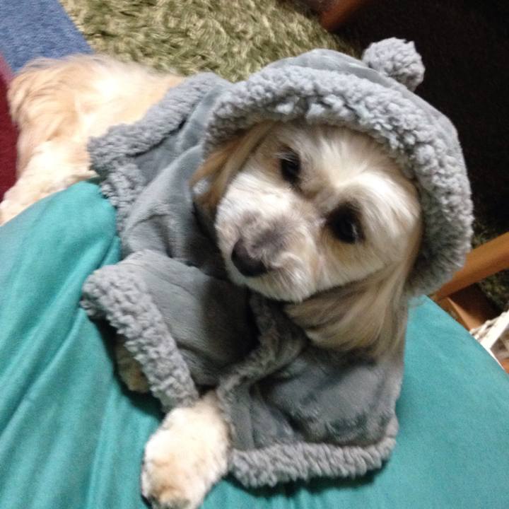 5d5307bd ad31 4a60 a29a a5e12db13c7f