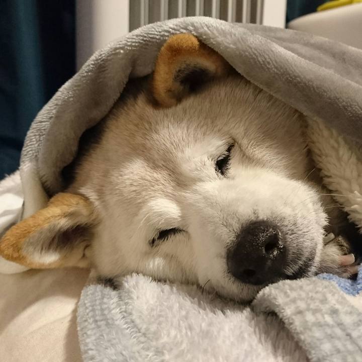 5d5353aa 6500 4941 9ad0 31d2c19f9bba