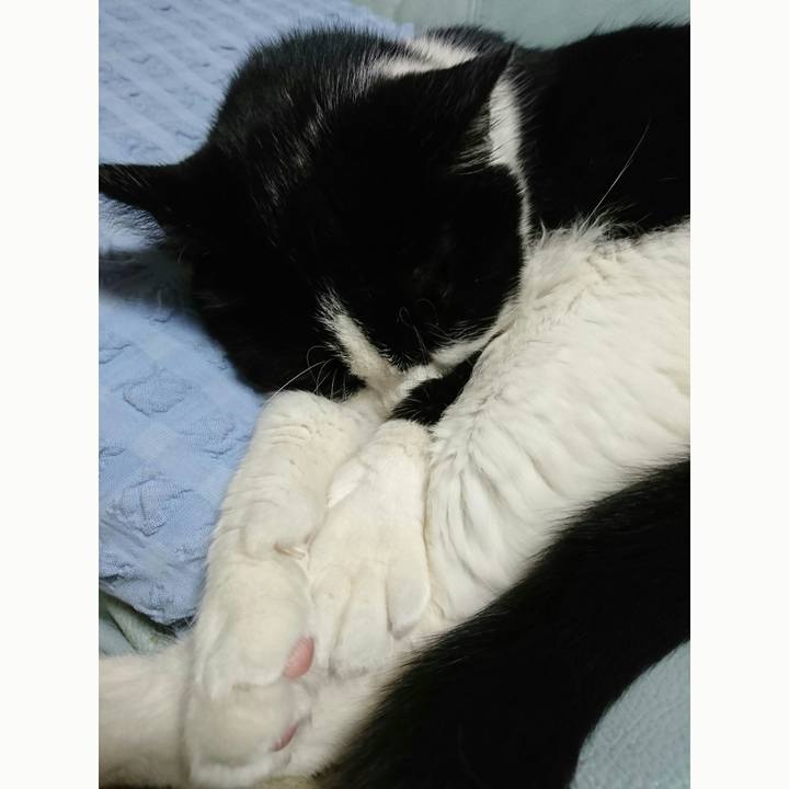 5d547720 8fcf 48b0 a34d c6a6ee904df7