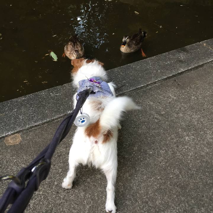 5d54cd3d a179 4931 9dc8 dadf1477b7da