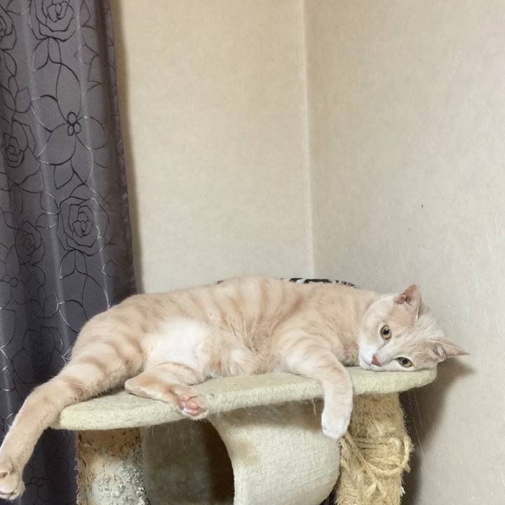 5d5560f3 841f 4baa 8ee1 f0e5faf22f67