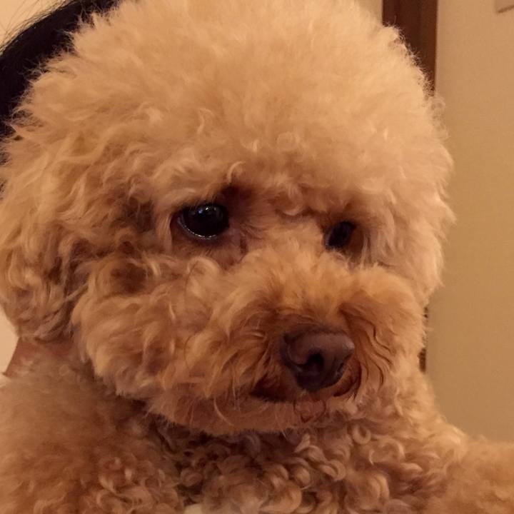 5d563709 59f2 47ed 8aa5 a5bba040d854