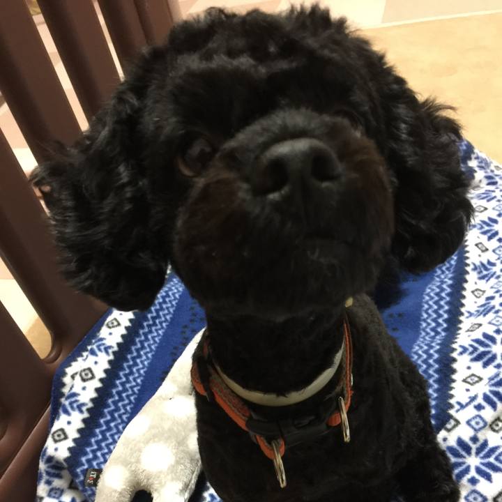 5d564dc2 3b2e 4073 9016 e258c8097376