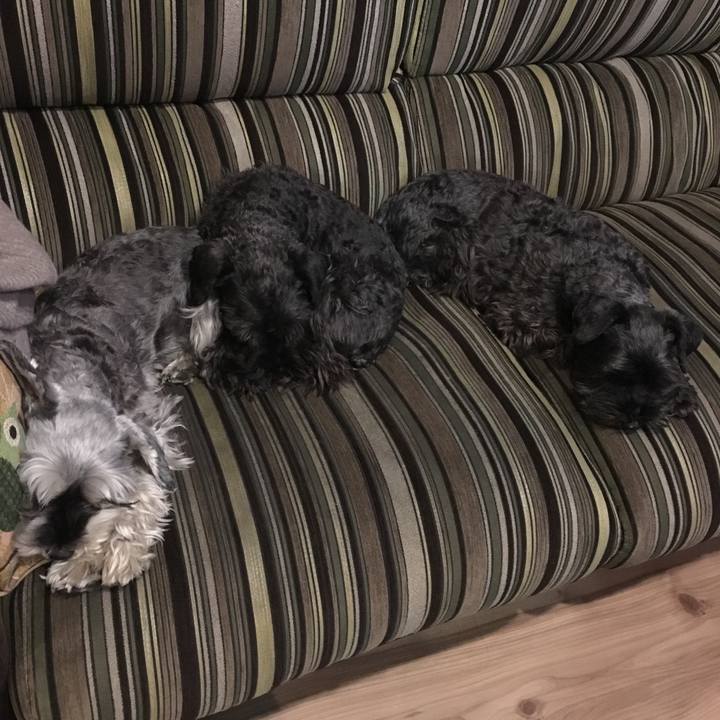 5d56fc06 3365 4a46 a9a4 f39d6d96c6ed