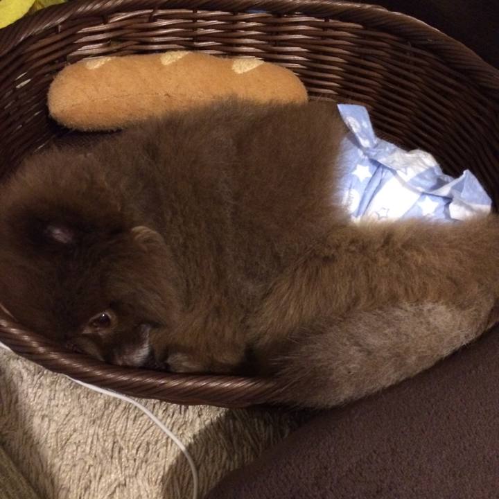 5d56feb7 89db 454a 9dbb 6cc4de665f62