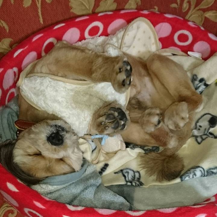 5d572590 6502 4036 8cc0 d2234735f36c