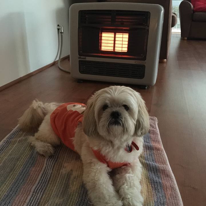 5d578dd0 3ead 4f8a 8944 024e0e7b3437