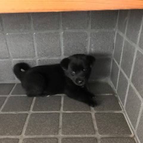 5d588576 5d3c 4ee6 b937 e28c24bc43bb