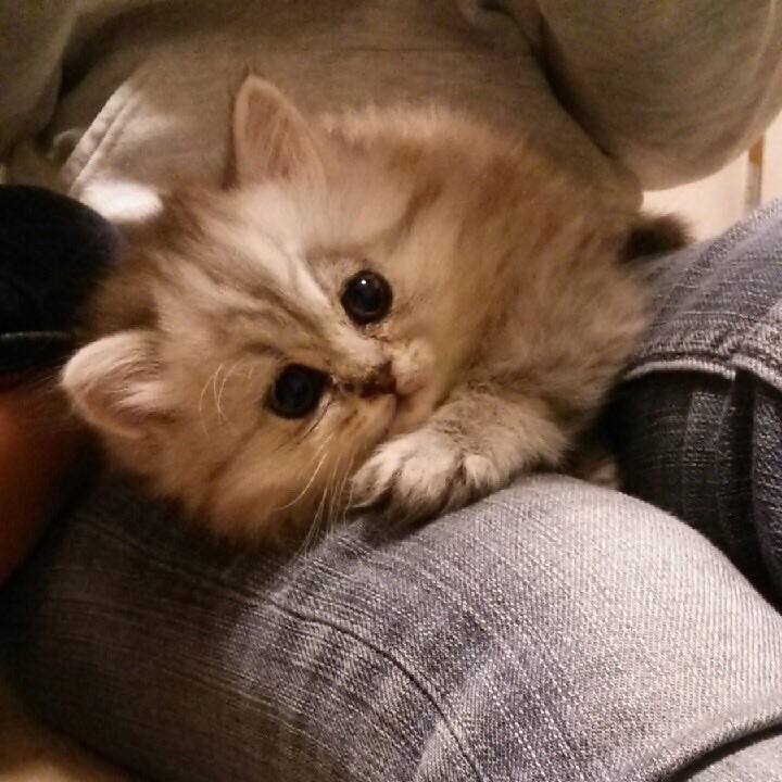 5d593dc5 aabe 4eff 85d6 6f4da79bf2e9