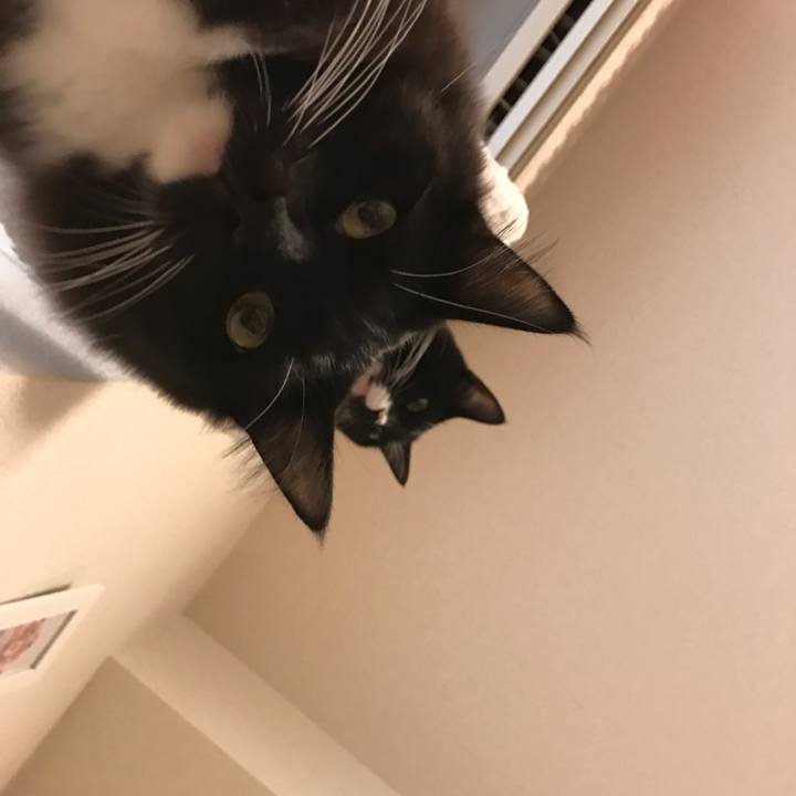 5d594d6e 4e83 4729 b4a6 58792ad5d9c2